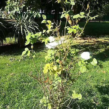 Tenuta Madiba Herberg