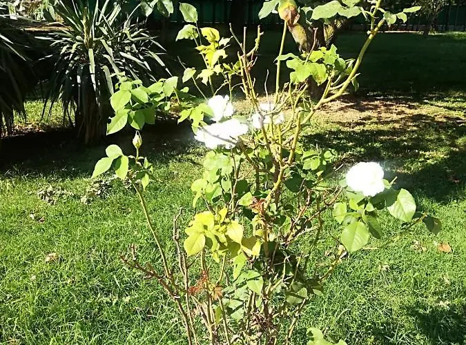 Tenuta Madiba Locanda