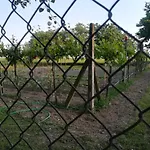 Inn Tenuta Madiba *