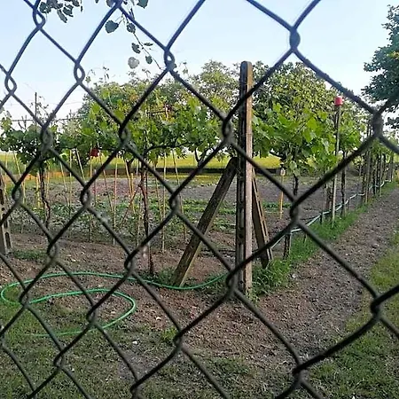Tenuta Madiba *