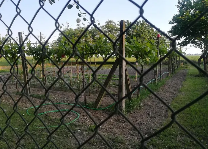 Zajazd Tenuta Madiba *